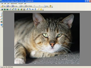 Pos Free Photo Editor, Freeware, Windows