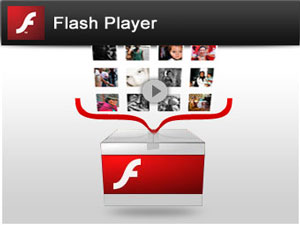 Adobe Flash Player, Freeware, Windows, Macintosh, other