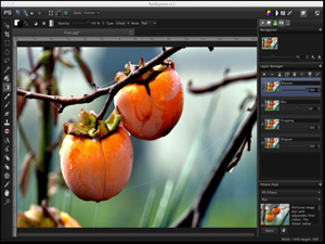 PaintSupreme Fast Photo Editing, Shareware, Windows