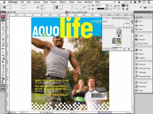 Adobe InDesign CS3 ACE Exam Aid, Shareware, Windows