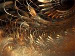 Apophysis, Free Noncommercial, Windows