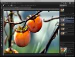 PaintSupreme Fast Photo Editing - 2D Software, Shareware 
