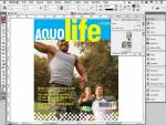 Adobe InDesign CS3 ACE Exam Aid, Commercial, Windows