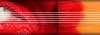Computer graphics designer software Microsoft XP, Vista, Windows7, Mac, OS download, free 3D Software, web design, photo editing freeware