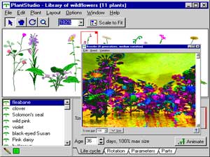 PlantStudio, Freeware, Windows