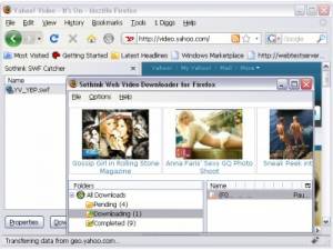 Flash Downloader, Freeware, Windows, Macintosh, other